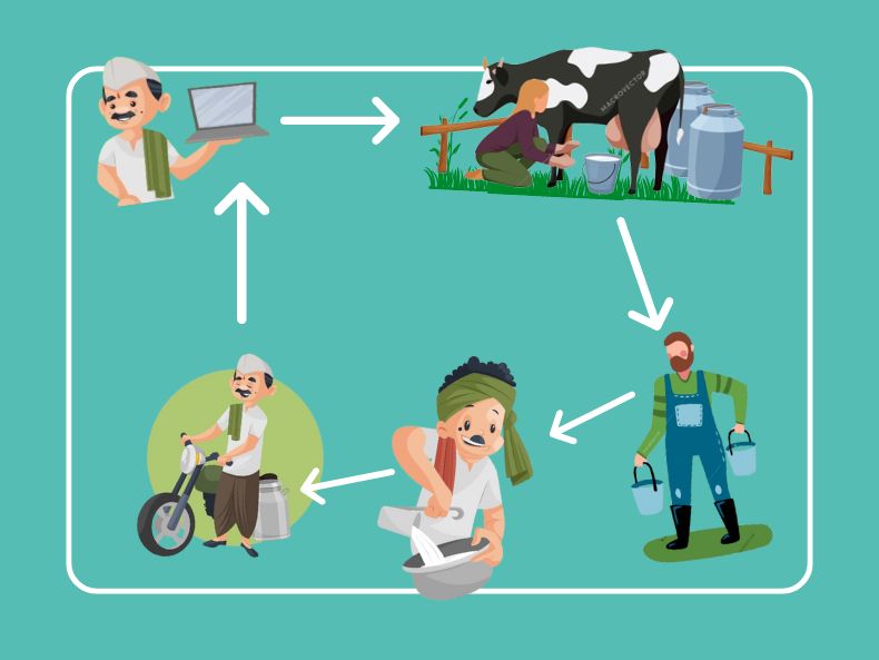 Milk tiem Milking Process